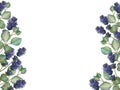 Watercolor hand painted nature floral vertical banner frame with purple lavender flowers and green eucalyptus leaves Royalty Free Stock Photo