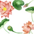 Watercolor hand painted nature floral water squared frame composition with peach color lotus blossom flowers, bud and green leaves Royalty Free Stock Photo