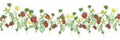 Watercolor hand painted nature forest banner line with red wild strawberry, white blossom flowers and green leaves on branches com Royalty Free Stock Photo