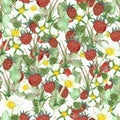 Watercolor hand painted nature forest meadow background composition with red wild strawberry, white yellow blossom flowers and gre Royalty Free Stock Photo