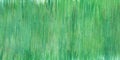 Watercolor hand painted nature forest meadow plant background with green grass abstract texture