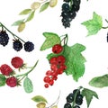 Watercolor hand painted nature fresh berry seamless pattern with red currant, strawberry, blackcurrant , blackberry and green oliv Royalty Free Stock Photo