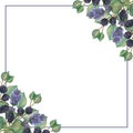 Watercolor hand painted nature garden border frame with green eucalyptus leaves, purple lavender flowers and blackberry branches b