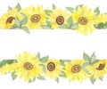 Watercolor hand painted nature garden plant banner composition with yellow sunflowers and green leaves bouquet Royalty Free Stock Photo