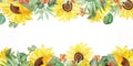 Watercolor hand painted nature garden plants banner frame with yellow sunflowers, orange sea buckthorn berries and green eucalyptu