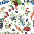 Watercolor hand painted nature garden plants seamless pattern with blueberries, blueberries, blackberries, black currants, cherrie