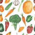 Watercolor hand painted nature garden plants seamless pattern with orange carrot, pumpkin, tomato, red bell, chili pepper, green b Royalty Free Stock Photo