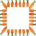 Watercolor hand painted nature garden plants squared border frame with orange carrot green stem vegetables