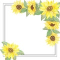 Watercolor hand painted nature garden plants squared frame with yellow sunflowers and green leaves bouquet in the corners Royalty Free Stock Photo