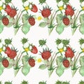 Watercolor hand painted nature garden seamless pattern with red strawberry, white blossom flowers and green leaves on branches bou Royalty Free Stock Photo