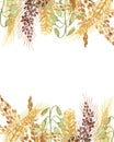 Watercolor hand painted nature grain field banner frame with golden rye ear, green and brown cereal branches and orange leaves bou Royalty Free Stock Photo