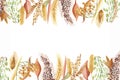 Watercolor hand painted nature grain field plants border banner with yellow, green and wheat, oats, barley, millet grain cereals