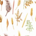 Watercolor hand painted nature grain fields plant seamless pattern with yellow, green and white, oats, barley, millet cereals Royalty Free Stock Photo