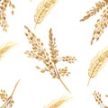 Watercolor hand painted nature grain fields seamless pattern with golden cereal branches and yellow rye ear