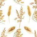 Watercolor hand painted nature grain fields seamless pattern with golden and green rye ears and cereal branches isolated on the wh Royalty Free Stock Photo