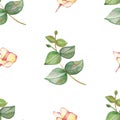 Watercolor hand painted nature greenery floral seamless pattern with pink blossom plumeria bud and green eucalyptus leaves on bran Royalty Free Stock Photo