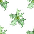 Watercolor hand painted nature greenery herbal seamless pattern with wormwood green leaves composition