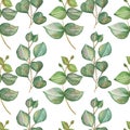 Watercolor hand painted nature greenery plants seamless pattern with green eucalyptus leaves on branches composition Royalty Free Stock Photo