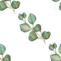 Watercolor hand painted nature greenery seamless pattern with green eucalyptus leaves on branches composition Royalty Free Stock Photo