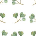 Watercolor hand painted nature greenery seamless pattern with green eucalyptus leaves on stem branches Royalty Free Stock Photo