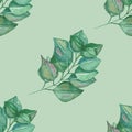 Watercolor hand painted nature greenery seamless pattern with green eucalyptus many leaves on branch