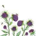 Watercolor hand painted nature health weed and insect composition with milk thistle green leaves on branch, burdock purple needle