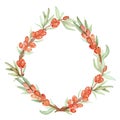 Watercolor hand painted nature healthy circle frame composition with orange sea buckthorn berries and green leaves on branch wreat