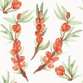 Watercolor hand painted nature healthy plants seamless pattern with orange sea buckthorn berries and green leaves on branches Royalty Free Stock Photo