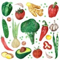 Watercolor hand painted nature healthy vegan food and herbal spices set composition with green broccoli, bell pepper, peas, cucumb Royalty Free Stock Photo