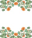 Watercolor hand painted nature herbal banner composition with orange calendula flowers and green eucalyptus leaves