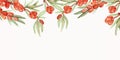 Watercolor hand painted nature herbal banner line with orange sea buckthorn and green leaves on branches bouquet