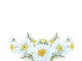 Watercolor hand painted nature herbal bouquet with white petal yellow center and green branches blossom chamomile flowers composit