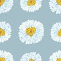 Watercolor hand painted nature herbal floral plant seamless pattern with blossom white petals and yellow center chamomile flowers Royalty Free Stock Photo