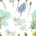 Watercolor hand painted nature herbal floral seamless pattern with white chamomile, blue yarrow and forget-me-not, yellow dandelio