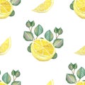 Watercolor hand painted nature herbal greenery seamless pattern with yellow citrus lemon fruit slice and green eucalyptus leaves o Royalty Free Stock Photo