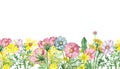 Watercolor hand painted nature herbal meadow floral banner composition with pink acacia, Arnica, wormwood, blue Daisy, yellow dand