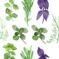 Watercolor hand painted nature herbal plants seamless pattern with purple basil, green rosemary, marjoram, dill and cumin leaves a Royalty Free Stock Photo