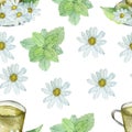 Watercolor hand painted nature herbal seamless pattern with cup of tea, green mint leaves and white flower with yellow middle cham Royalty Free Stock Photo