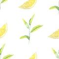 Watercolor hand painted nature herbal seamless pattern with green tea plant leaves on branch and yellow lemon citrus fruit Royalty Free Stock Photo