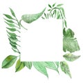 Watercolor hand painted nature jungle border squared frame with green tropical leaves and eucalyptus branches Royalty Free Stock Photo