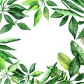 Watercolor hand painted nature jungle composition bouquet with different green tropical leaves collection Royalty Free Stock Photo