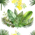 Watercolor hand painted nature meadow floral seamless pattern with green tropical leaves bouquet and yellow acacia blossom flower Royalty Free Stock Photo