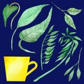 Watercolor hand painted nature plants and dishes set with green tropical different leaves, branches and yellow cup collection Royalty Free Stock Photo