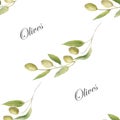 Watercolor hand painted nature provence greenery seamless pattern with green olives on branch with leaves and title text Royalty Free Stock Photo