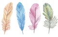 Watercolor hand painted nature romantic fluffy bird wing set with different yellow gold, blue, pink and green boho feathers collec Royalty Free Stock Photo