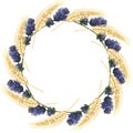 Watercolor hand painted nature round border frame with yellow rye ear cereals and purple lavender flower branches wreath on the wh