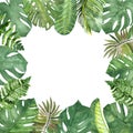 Watercolor hand painted nature squared border frame with green different tropical palm leaves composition Royalty Free Stock Photo