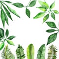 Watercolor hand painted nature squared border frame with green tropical leaves and branches Royalty Free Stock Photo