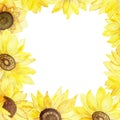 Watercolor hand painted nature squared border frame with yellow blossom sunflower and black seeds center bouquet Royalty Free Stock Photo