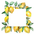 Watercolor hand painted nature squared border frame with yellow citrus fruit lemon